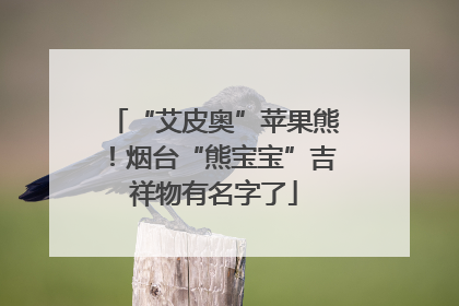 “艾皮奥”苹果熊！烟台“熊宝宝”吉祥物有名字了
