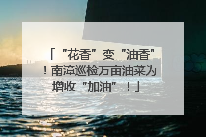 “花香”变“油香”！南漳巡检万亩油菜为增收“加油”！