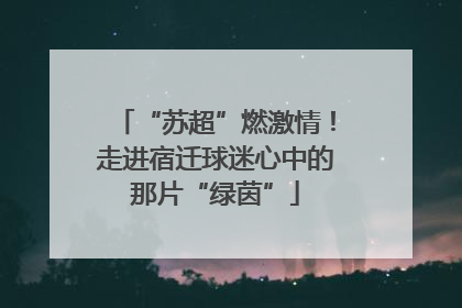 “苏超”燃激情！走进宿迁球迷心中的那片“绿茵”