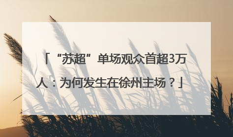 “苏超”单场观众首超3万人：为何发生在徐州主场？