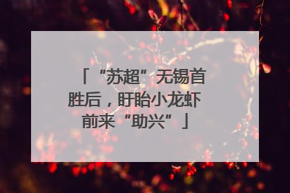 “苏超”无锡首胜后，盱眙小龙虾前来“助兴”