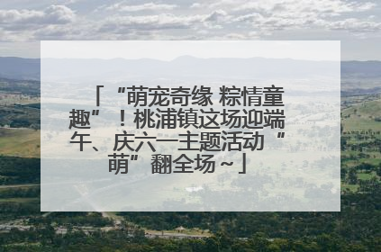 “萌宠奇缘 粽情童趣”！桃浦镇这场迎端午、庆六一主题活动“萌”翻全场～