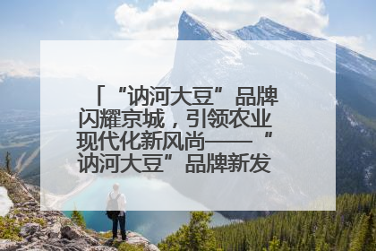 “讷河大豆”品牌闪耀京城，引领农业现代化新风尚——“讷河大豆”品牌新发地推介会圆满落幕