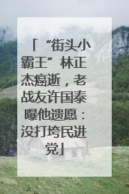 “街头小霸王”林正杰癌逝，老战友许国泰曝他遗愿：没打垮民进党