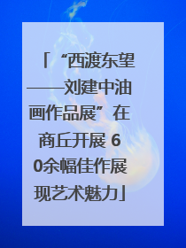 “西渡东望——刘建中油画作品展”在商丘开展 60余幅佳作展现艺术魅力
