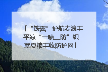 “铁翼”护航麦浪丰 平凉“一喷三防”织就夏粮丰收防护网