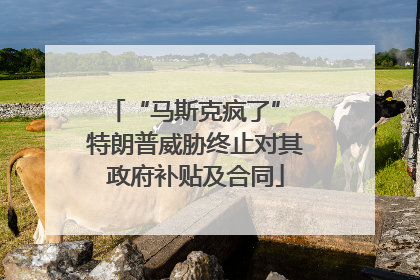“马斯克疯了” 特朗普威胁终止对其政府补贴及合同