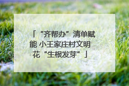 “齐帮办”清单赋能 小王家庄村文明花“生根发芽”