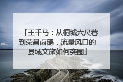 王千马：从桐城六尺巷到荣昌卤鹅，流量风口的县域文旅如何突围