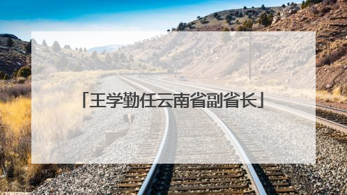 王学勤任云南省副省长