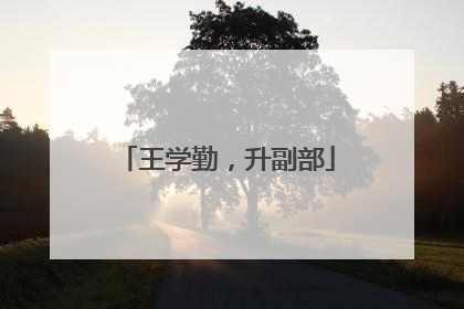 王学勤，升副部