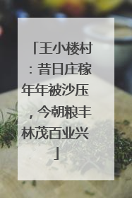 王小楼村：昔日庄稼年年被沙压，今朝粮丰林茂百业兴