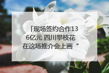 现场签约合作136亿元 四川攀枝花在这场推介会上画“图谱”列“清单”