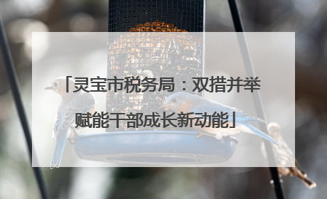 灵宝市税务局：双措并举 赋能干部成长新动能