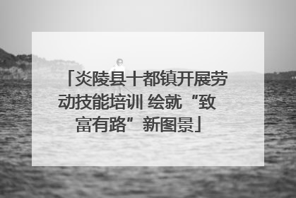 炎陵县十都镇开展劳动技能培训 绘就“致富有路”新图景
