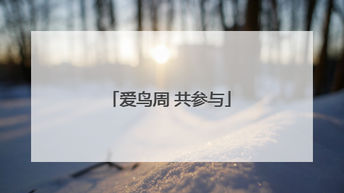 爱鸟周 共参与