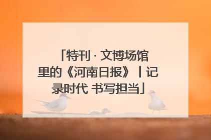 特刊 · 文博场馆里的《河南日报》丨记录时代 书写担当