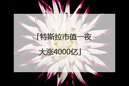 特斯拉市值一夜大涨4000亿