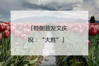 特朗普发文庆祝：“大胜”