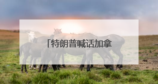 特朗普喊话加拿大参与投资！专家：“金穹”计划更像“科幻片”