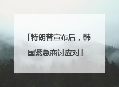 特朗普宣布后，韩国紧急商讨应对