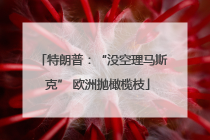 特朗普：“没空理马斯克” 欧洲抛橄榄枝