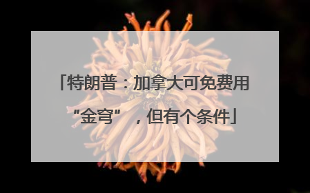 特朗普：加拿大可免费用“金穹”，但有个条件