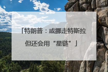 特朗普：或挪走特斯拉 但还会用“星链”
