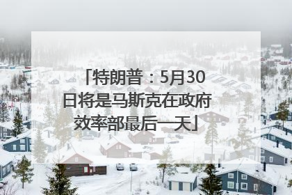特朗普：5月30日将是马斯克在政府效率部最后一天