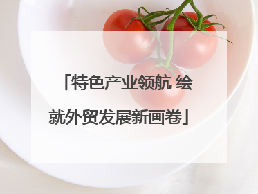 特色产业领航 绘就外贸发展新画卷