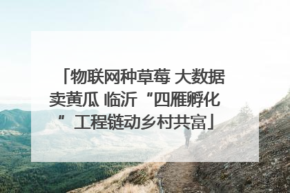 物联网种草莓 大数据卖黄瓜 临沂“四雁孵化”工程链动乡村共富
