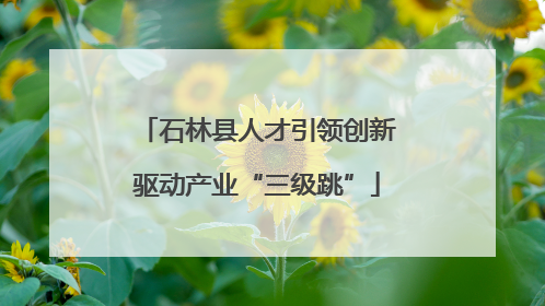 石林县人才引领创新驱动产业“三级跳”