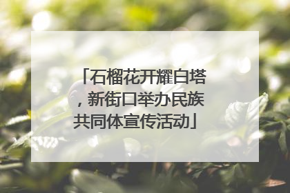 石榴花开耀白塔，新街口举办民族共同体宣传活动