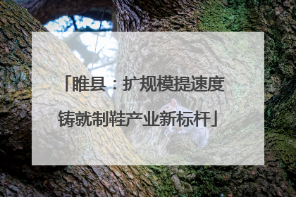 睢县：扩规模提速度 铸就制鞋产业新标杆