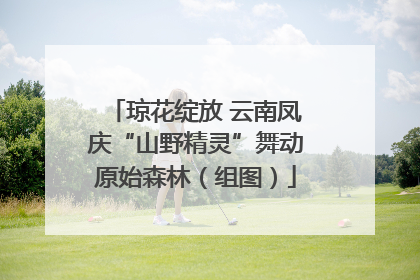 琼花绽放 云南凤庆“山野精灵”舞动原始森林（组图）