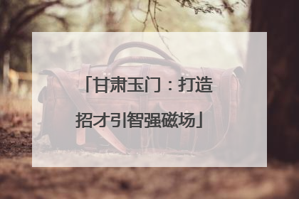 甘肃玉门：打造招才引智强磁场