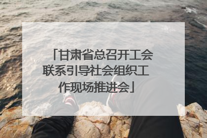 甘肃省总召开工会联系引导社会组织工作现场推进会