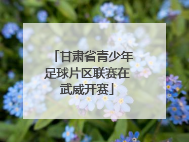 甘肃省青少年足球片区联赛在武威开赛