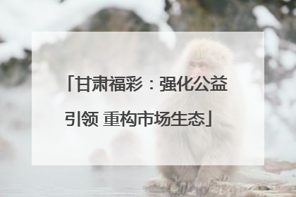 甘肃福彩：强化公益引领 重构市场生态
