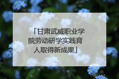 甘肃武威职业学院劳动研学实践育人取得新成果