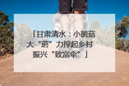 甘肃清水：小菌菇大“蘑”力撑起乡村振兴“致富伞”
