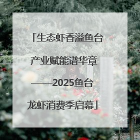 生态虾香溢鱼台 产业赋能谱华章——2025鱼台龙虾消费季启幕