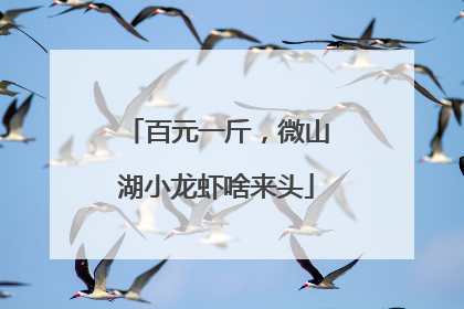 百元一斤，微山湖小龙虾啥来头