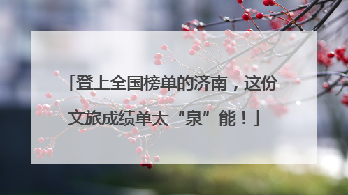 登上全国榜单的济南，这份文旅成绩单太“泉”能！