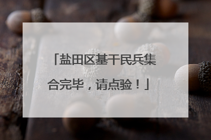 盐田区基干民兵集合完毕，请点验！