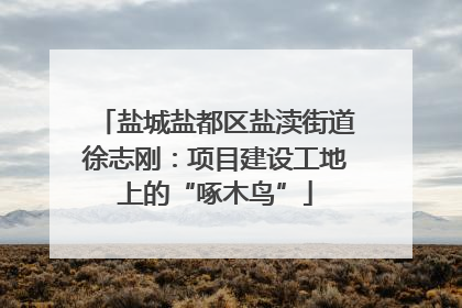 盐城盐都区盐渎街道徐志刚：项目建设工地上的“啄木鸟”