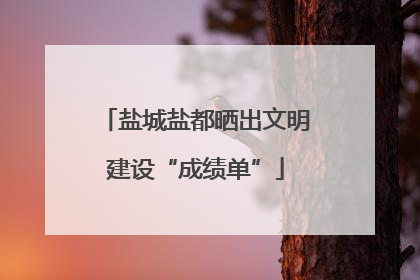 盐城盐都晒出文明建设“成绩单”