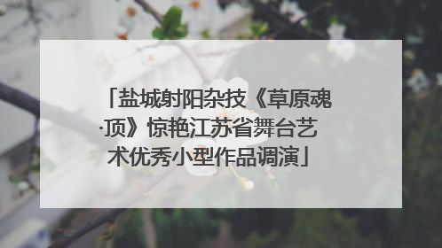 盐城射阳杂技《草原魂·顶》惊艳江苏省舞台艺术优秀小型作品调演