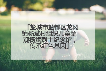 盐城市盐都区龙冈镇杨斌村组织儿童参观杨斌烈士纪念馆，传承红色基因