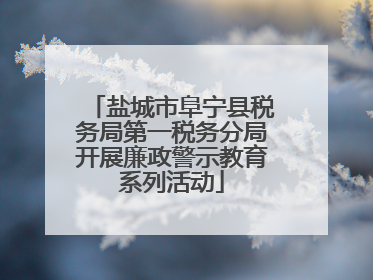 盐城市阜宁县税务局第一税务分局开展廉政警示教育系列活动